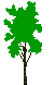 Paper birch icon